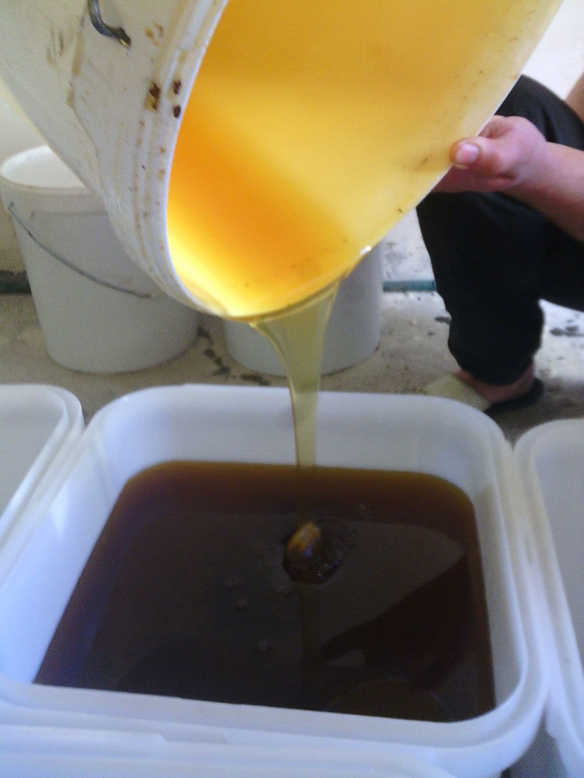 Altai honey